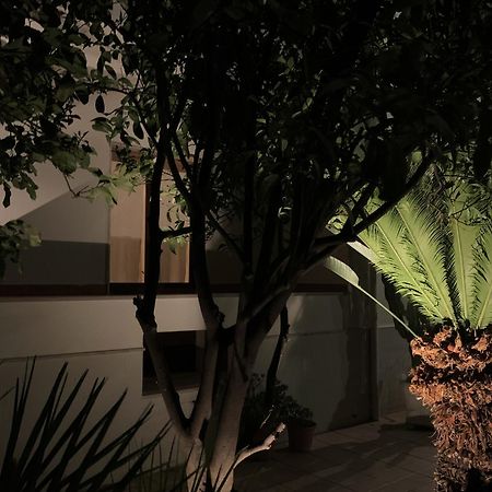 Tap Apartments - In Independent House With Private Garden Alghero Buitenkant foto