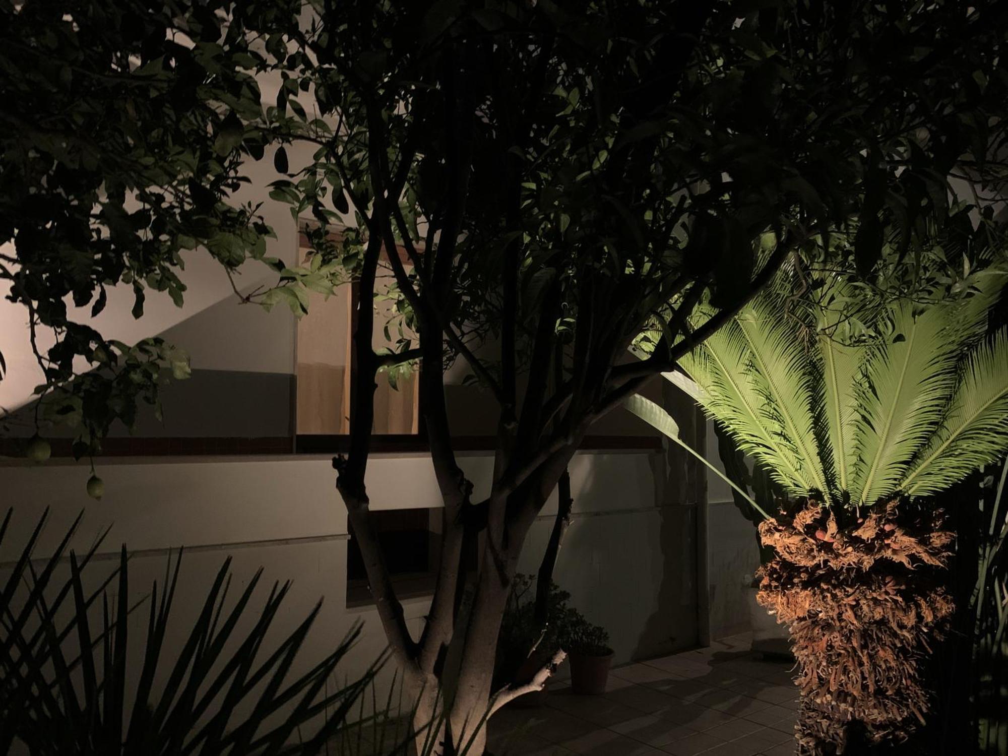 Tap Apartments - In Independent House With Private Garden Alghero Buitenkant foto