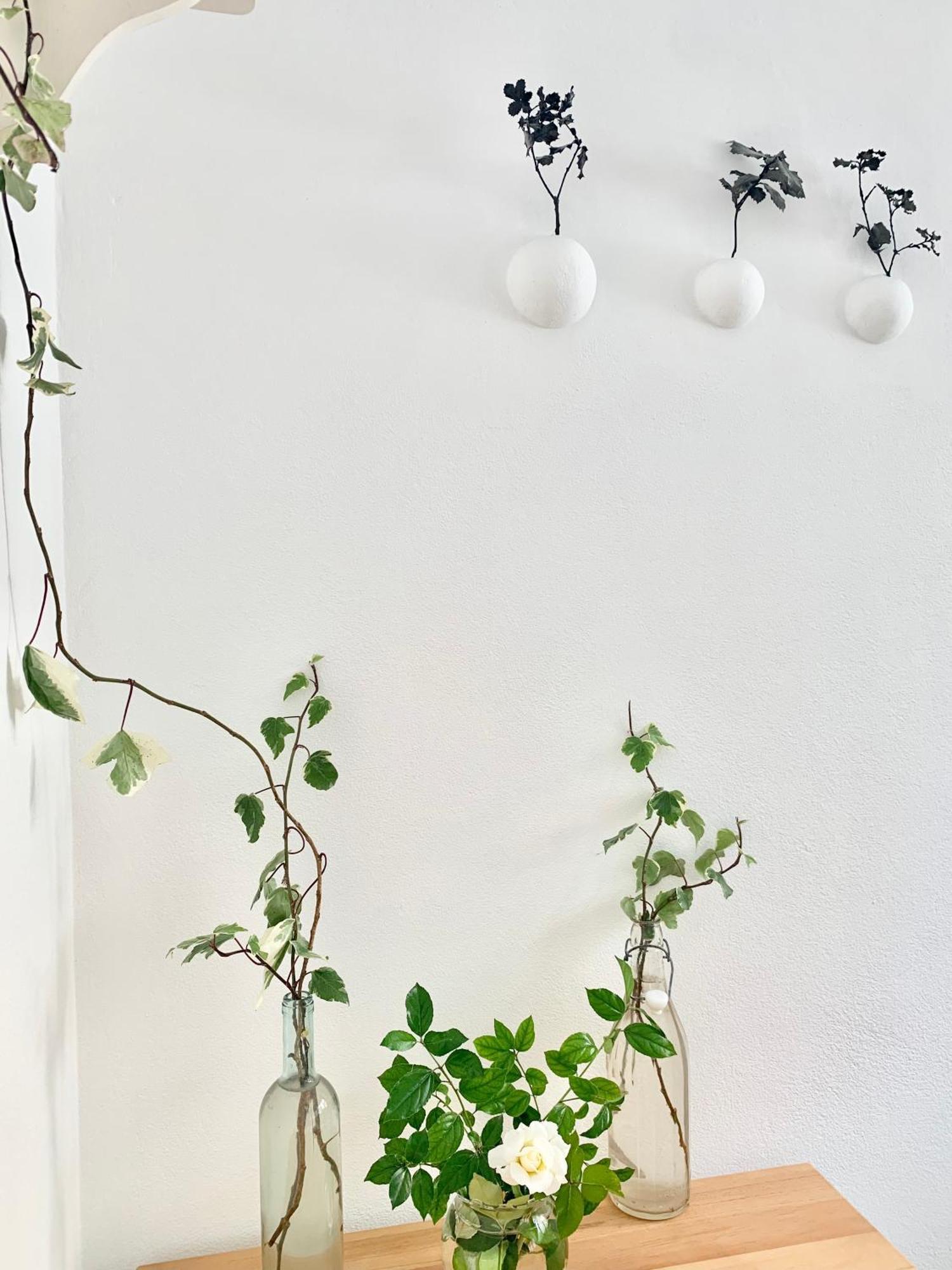 Tap Apartments - In Independent House With Private Garden Alghero Buitenkant foto