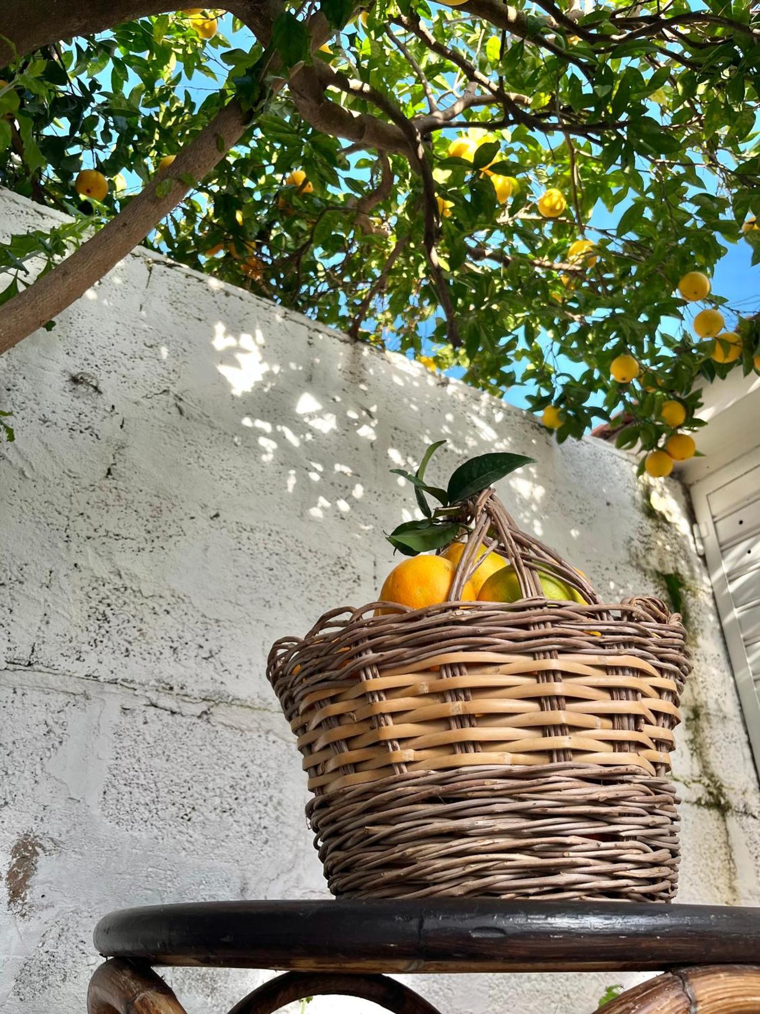 Tap Apartments - In Independent House With Private Garden Alghero Buitenkant foto